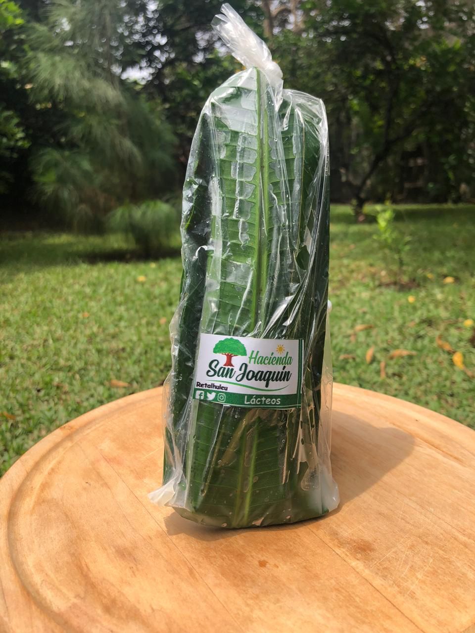 Queso Fresco en hoja